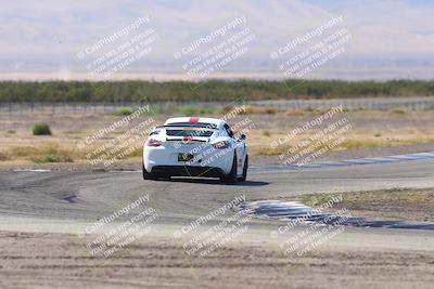 media/Oct-04-2025-OnGrid (Sat) [[44bd565ffa]]/Green Group/Grapevine/